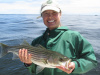 Hiedi's striped bass